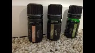 Anjou Aromatherapy Top 12 Essential Oils Set