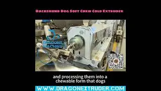 Dachshund Dog Soft Chew Cold Extruder