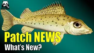 Russian Fishing 4 - Извилистая речушка - 🎣Что нового? Новости патча и новые модели рыб! 🎣#rf4