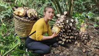 Harvest, natural horseshoe tubers, bring to the market to sell _make bean rigs  | Chuc Thi Duong