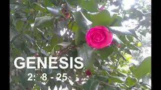 Genesis 2: 8 - 25