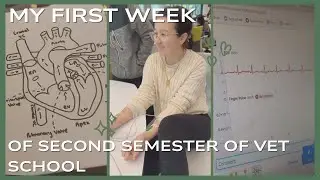 My First Week Back at Vet School | Vet School Vlog #7