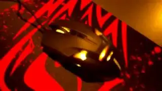 Tecknet Raptor Pro Gaming Mouse - Worth Your Money?