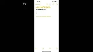 Join my free Telegram channel for expert forex trading signals and trade like a pro with XAUKING!
