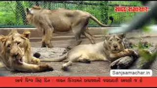 sanj 10 08 2016