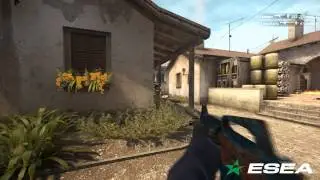 ESEA Premier CS: GO League - elsaMaMa vs VwS Gaming - Ace 5K Gun Round on de_inferno