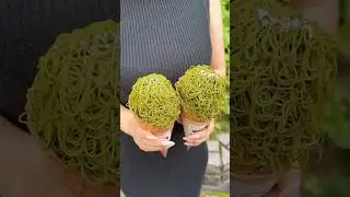 Matcha Sweets #たもグルメ #japanesefood