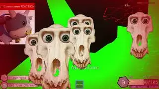 Absolute Madness in Roblox Asylum Rejects.