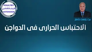 الإحتباس الحراري فى الدواجن