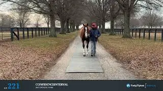 Hip #221 Confidenceinterval January 2026 Fasig-Tipton Digital 