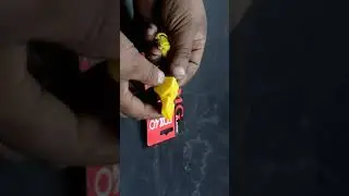 Whistle Fox 40 Shorts