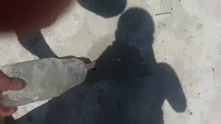 Como pegar caranguejo na praia de Guaratuba