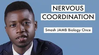 JAMB Biology CBT Tutorial 2026 Questions On Nervous Coordination (Top 20)
