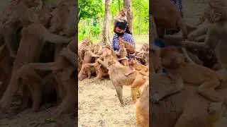 patience nhi h bilkul bhi ☺️