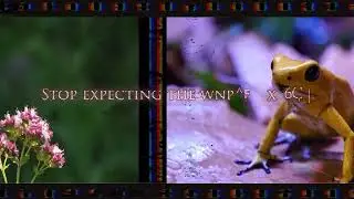 environmental decline: experimental film