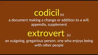 codicil & extrovert