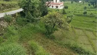 5 Bigha | Bel-Basani, Nainital | Plain Land | On Nainital Road | 2 Side Road | Great View | Call Now