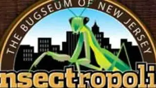 Free Museum Pass Program