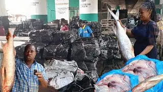 CHEAP MARKET: INSIDE THE BIGGEST COLD ROOM IN IJORA OLOPA-LAGOS TOP FROZEN FOOD WHOLESALE MARKET