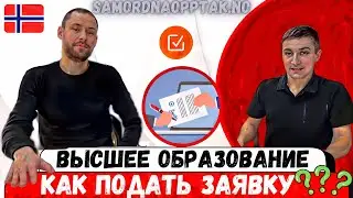 Высшее образование в Норвегии 🇳🇴 Как подать заявку через Samordna opptak