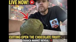🔴 LIVE: Cutting Open The Chocolate Pudding Fruit! (Black Sapote Reveal!) 🍫