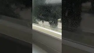 ( short video) BCEHS respawning