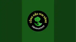 Công Hậu Mai Vàng 71 đang phát trực tiếp!