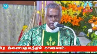 🔻 LIVE MASS || വേളാങ്കണ്ണി പള്ളിയിൽ നിന്ന് മലയാളം ദിവ്യബലി തത്സമയം || (MON to SAT 9 AM)