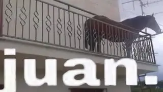 Video random