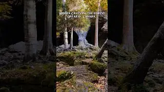 Hidden Caves in the forest 💀 // Bruce Peninsula, Ontario🍁#caves #hiking #ontario #nature