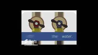 Washer Won't Drain -- Clean Out Your Drain Hose