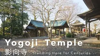 Standing Here for Centuries – Yogoji Temple｜影向寺｜Kawasaki (4K)
