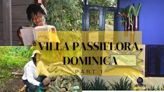 A stay at Villa Passiflora -  Calibishie, Dominica