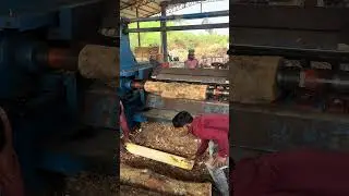 Wood debarking working big machine part 95#viral #woodwork #shortvideo #agriculture #reels