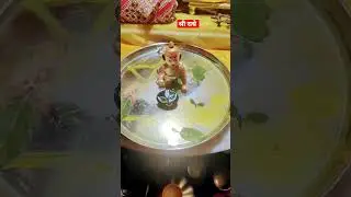 चरणामृत किसे कहते हैं श्री राधे #krishna #shorts #vrindavan #aniruddhacharyaji #viral #radhakrishna
