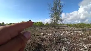 SOLD 002 Land plot 600 sqr.m. for sell 380m from the Beach. Muyuni Zanzibar