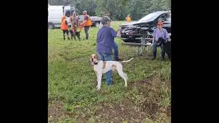 AKC Hunt Test Training Day