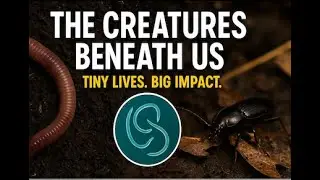 Soil&rsquo;s Secret Helpers &ndash; The Tiny Creatures That Keep Earth Alive: #SoilCreatures #Earthworms
