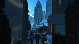 Toronto Vibes #torontovibes #toronto #autumn #foliage #videoshort #travel #dailyvibes