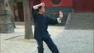 少林柔拳- Shaolin Rou Quan set 1 from Luohan 13 gong - PartB