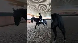 Mario Ouellet First Level Test C