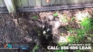 Water Leak Detection in Tarpon Springs FL
