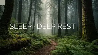 Night Healing Guitar for Deep Rest | A Letter Where the Forest Finally Exhales | She&rsquo;s Letters Radio