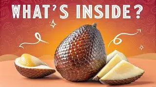 Trying the Fruit That Looks Like a Snake Skin! Salak Fruit Review