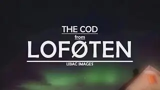 The cod from Lofoten, Ubac Images, Season1 Ski-trip1, Pierre Colonge