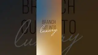 ✨ Willow Walk Through Tour ✨