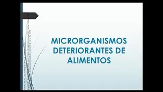 Microrganismos Deteriorantes de Alimentos