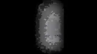 idiosyncratic tonal groove