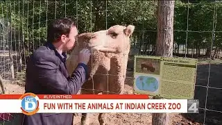 Live in the D: Visit the Indian Creek Zoo