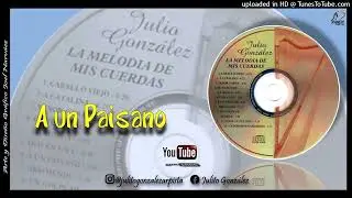JULITO GONZ&Aacute;LEZ (INSTRUMENTALES) - A UN PAISANO - @joelantonionarvaez​